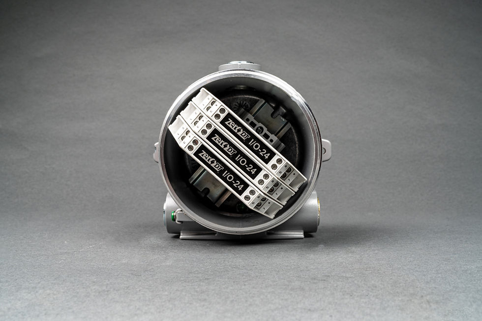 Thumbnail: ZeroDT FM-12