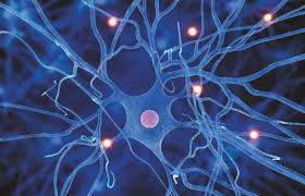 Your Brain on Creativity