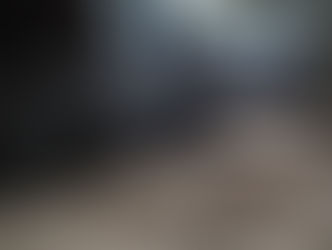 Bonfire Night Safety for Dogs