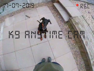 K9 Anytime Youtube