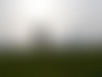 Humans & Dogs - who started it?