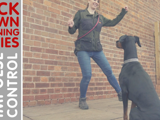 Online Training Class: Impulse Control