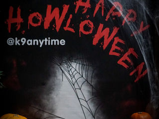 HOWLOWEEN Selfie Stop