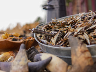 What the fish? Is your dog missing out on Omegas?