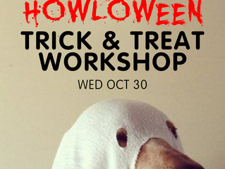 TRICK & TREAT Workshop