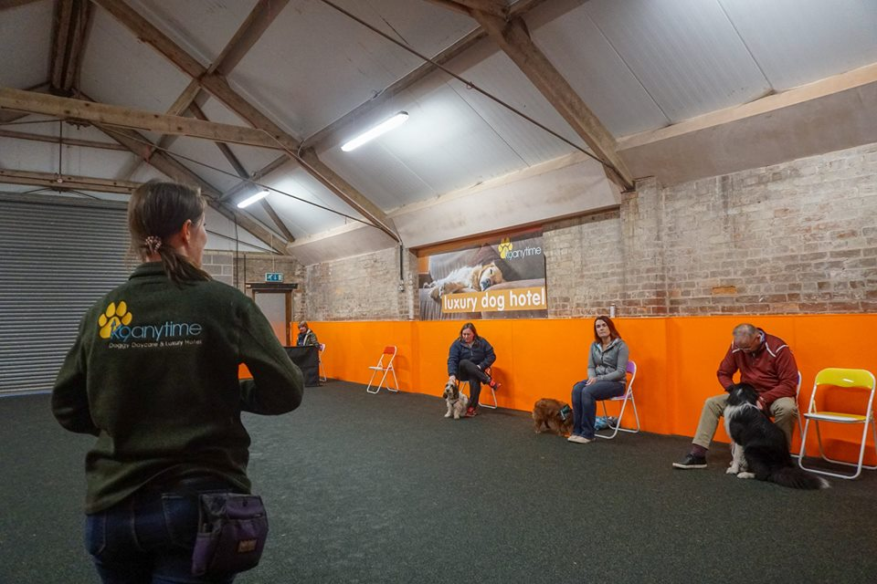 Classes at K9 Anytime Dog Training School