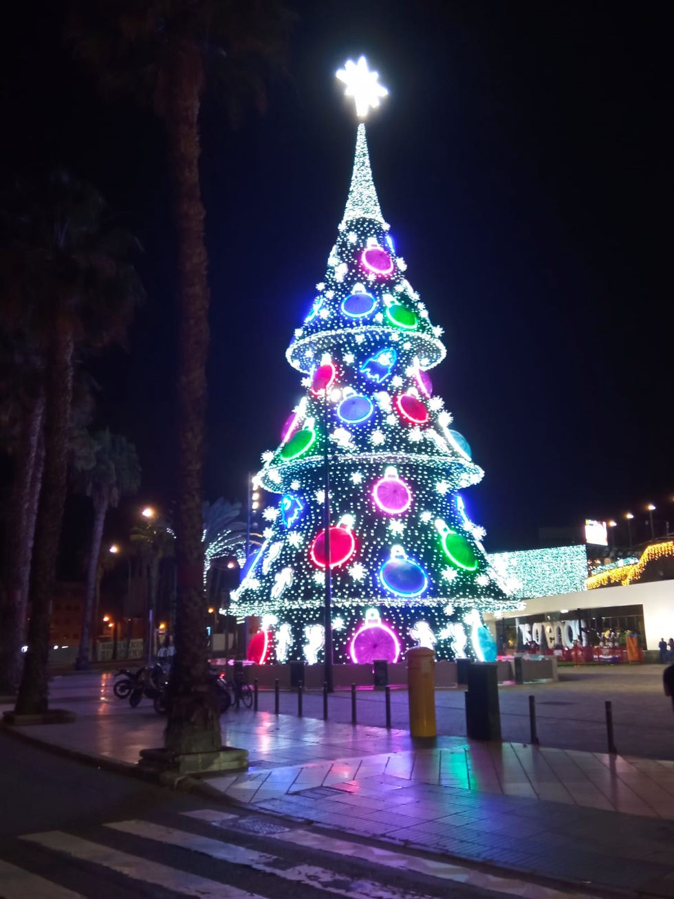 Fiestas y familia: Sinónimos de Navidad