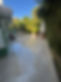 image00008.jpeg