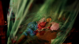 Murshida, 12, diagnosed with dengue fever, lies under a mosquito net inside her rented shanty on the outskirts of New Delhi, India.