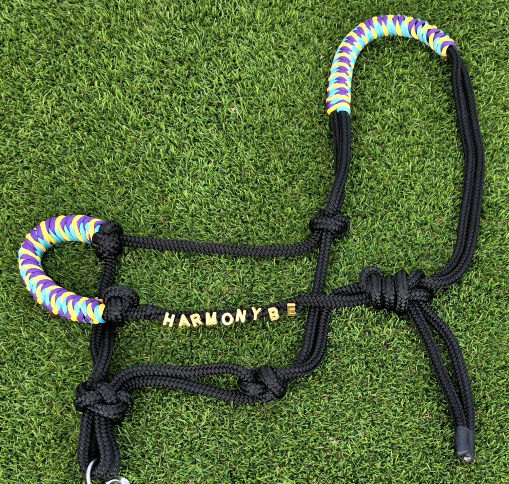Custom & Fitted Rope Halter