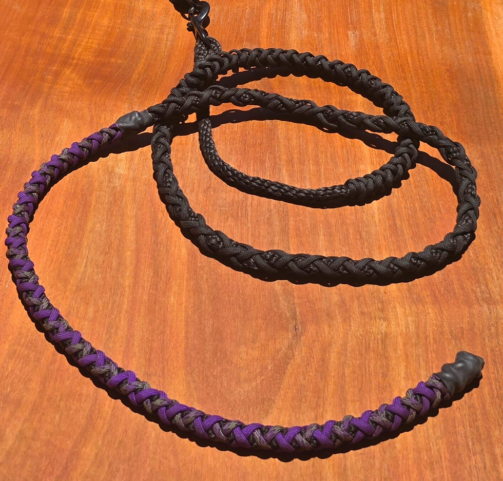 Thumbnail: Custom Lead Rope Long - over 3 m long