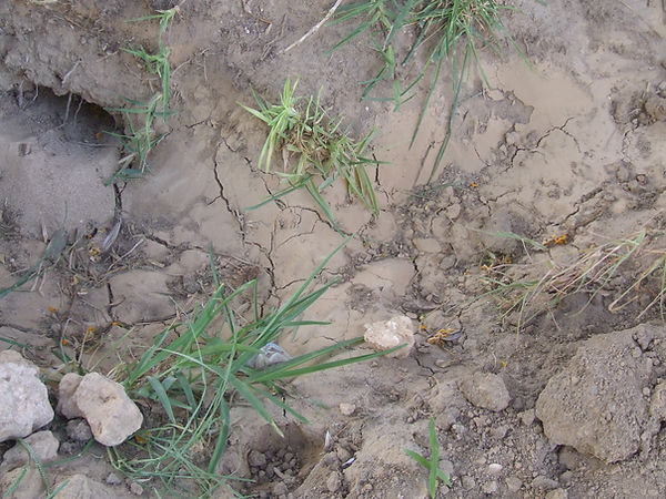 2005-01-01 00.00.12-8.jpg