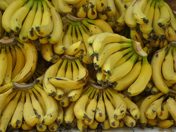 bananas.jpg