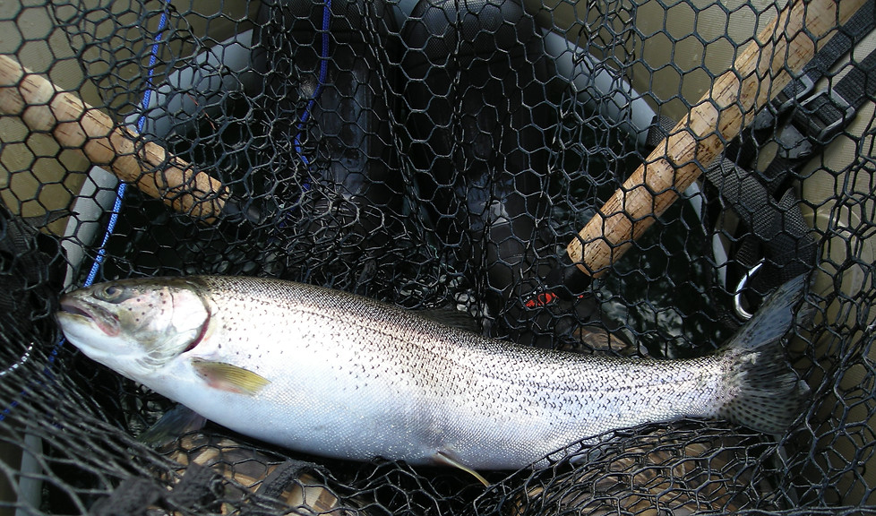 DSCN2344.JPG
