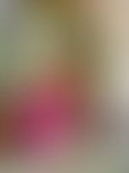 The Heart of Your Georgia Medical Practice: Crafting an Effective Doctor-Patient Contract