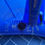 Thumbnail: North Reach 7m 2022 - Pacific Blue