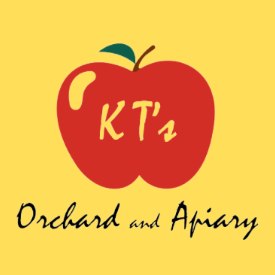 logo.png