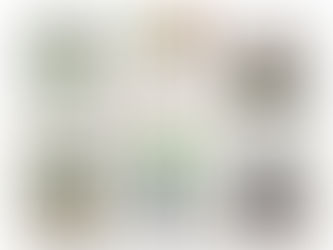 MONTHLY NEWSLETTER - March '22