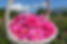 5C0C4866-D3FD-4750-B0F1-96137C7836AF.jpeg