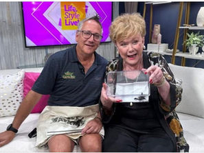 Patty pets a scorpion with Silly Safaris