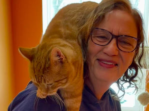 Misty Eyes rescue shows off new Kitty City!