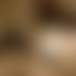 WATCH: Runaway goat, reptiles up close, working dogs tribute and what’s the best pet insurance?