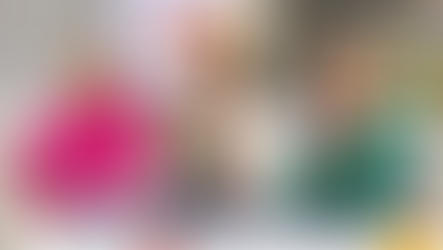 Ozzie the Hawk educates on wildlife safety