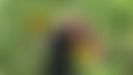 Fishers AgriPark is a great place for families to learn about agriculture