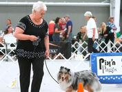 Camp Bow Wow Lawrence Dogs Compete, Play and Explore