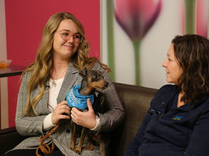 Eskenazi Hospital’s therapy dogs bring comfort during the holidays