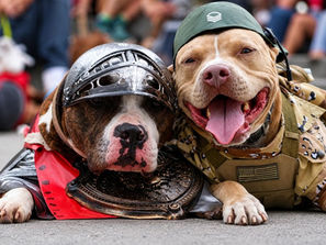 The Four Legged Ranch spreads pit bull awareness