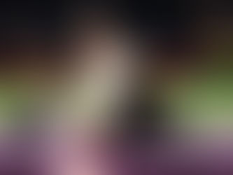 Monty the Giant Schnauzer wins Best in Show at Westminster