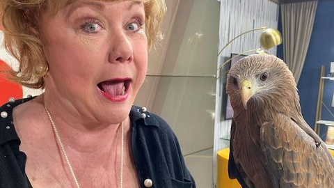 patty spitler holds yellow-kite bird