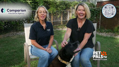 Pet insurance customers have piece of mind