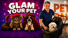 Gadget Guy shows you how to Glam Your Pet