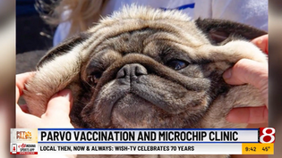 Free parvo vaccinations offered at Vet Tech Institute of Indiana