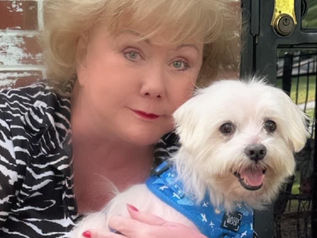 Meet Patty Spitler's rescue dog, Harry!