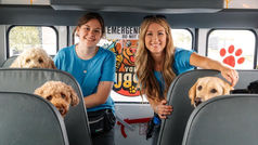 Hop on the Indy Pup Bus!