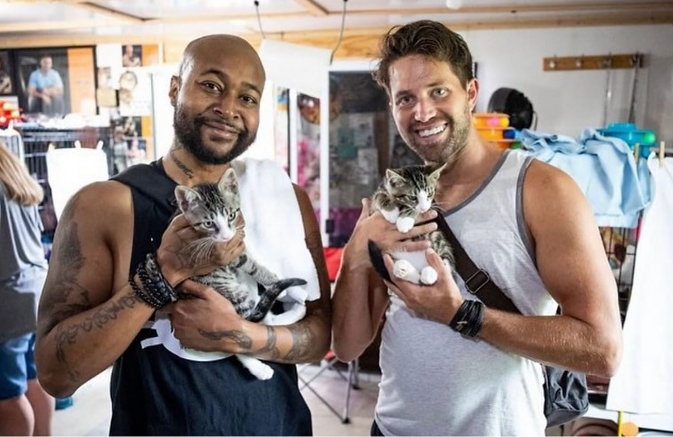 Cat dads save homeless kitties!