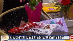 Keeping pets safe on Valentine’s Day