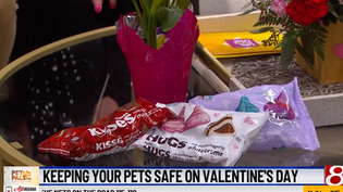 Keeping pets safe on Valentine’s Day
