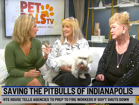 Pamela Terhune promotes Project Pit Stop on WISH-TV News