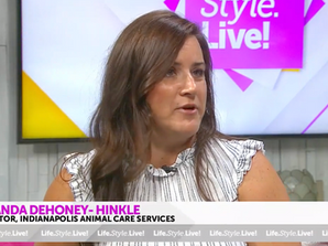 Meet new director of Indianapolis Animal Care Services