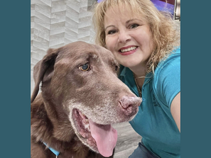 Willie retires from his pet therapy career