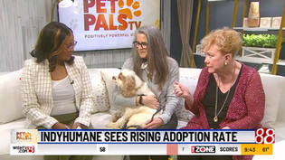 Video: IndyHumane sees rising pet adoption rate
