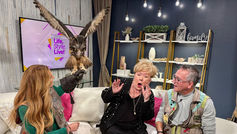 Check out that wingspan! 