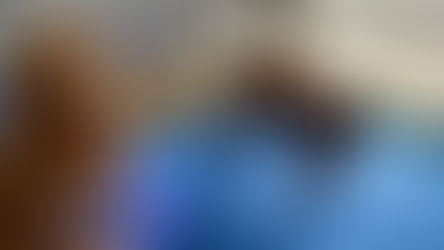 How doggie day care helps your pet make friends