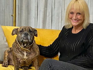 NEXT SHOW: Saving Pit Bulls, antifreeze poisons pets & meet Busy Bee therapy dog