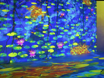 Lume: Immerse yourself in digital art at Newfields