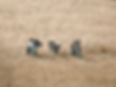 20231007142627.jpg